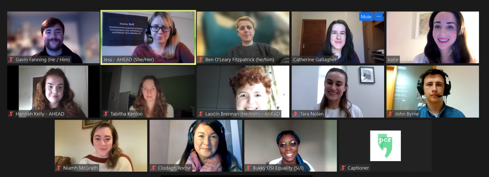 Smiley faces from the advisory Group members at their last meeting of the year on Zoom
