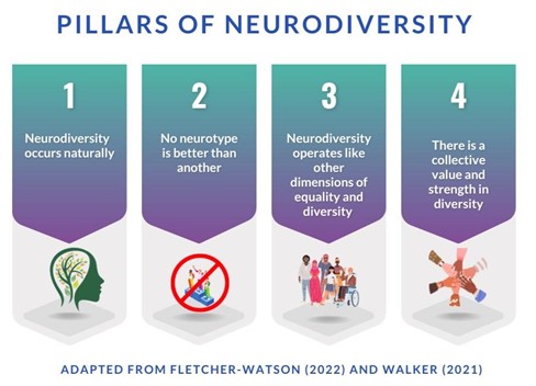This infographic depicts the 4 pillars of the neurodiversity paradigm. This is adapted from the work of Walker (2021) and Fletcher-Watson (2022). The 4 pillars are: 1. Neurodiversity occurs naturally, 2. No neurotype is better than another, 3. Neurodiversity operates like other dimensions of equality and diversity and 4. There is a collective value and strength in diversity.