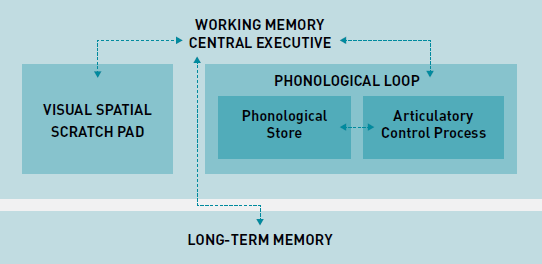 Diagram of Working Memory